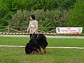 Immagine 033